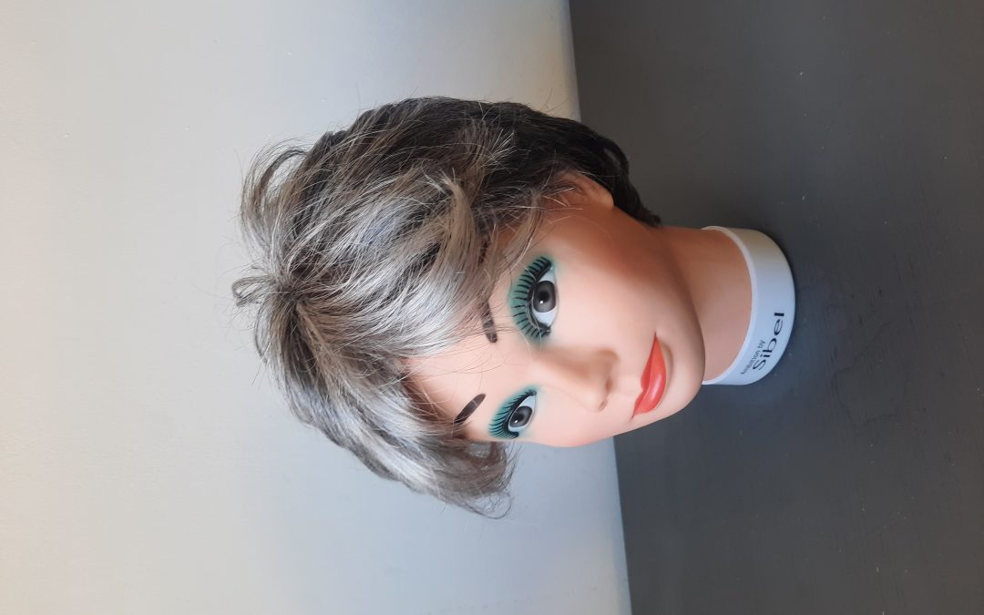 Perruque 622 – Clara